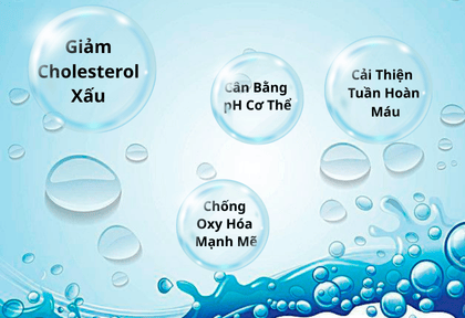 Nước ION Kiềm: Vũ Khí Bí Mật Bảo Vệ Tim Mạch, Đột Phá Sức Khỏe Ngay Hôm Nay!